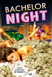 Watch Free Bachelor Night (2014)