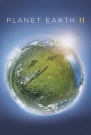 Watch Free Planet Earth II